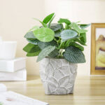 15” Faux Fern Plant in Ceramic Planter - Chic Decora