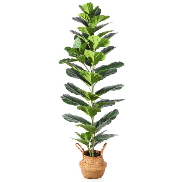 Adcock Artificial Fiddle Leaf Fig Plant in Basket, Faux Green Plant, Fake Tree for Home Decor - Chic Decora