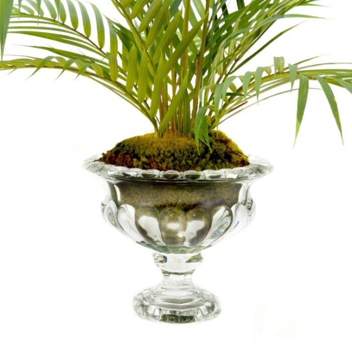 Akeyah Faux Palm Plant in Glass Vase - Chic Decora