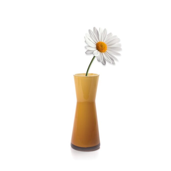 Alaina Glass Table Vase - Chic Decora