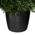 Arryana Artificial Wide Cedar Teardrop Shaped Bush, Black Plastic Pot - Chic Decora