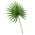 23” Palm Branch - Chic Decora