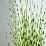 Artificial Faux Foliage Grass in Pot - Chic Decora