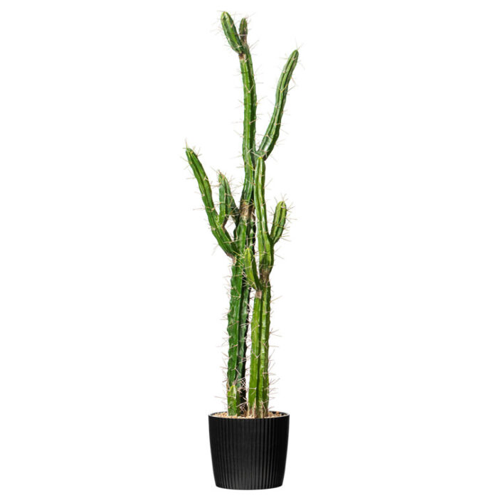 Artificial Green Cactus, Black Plastic Planters Pot - Chic Decora