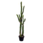 Artificial Green Cactus, Black Plastic Planters Pot - Chic Decora