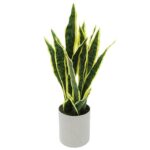 Artificial Sansevieria Snake Plant in Pot - Chic Decora