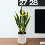 Artificial Sansevieria Snake Plant in Pot - Chic Decora