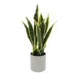 Artificial Sansevieria Snake Plant in Pot - Chic Decora