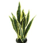 Artificial Sansevieria Snake Plant in Pot - Chic Decora