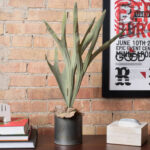 Artificial Staghorn Fern - Chic Decora