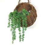 Artificial Succulents Hanging Faux Plants Fake String of Pearls - Chic Decora