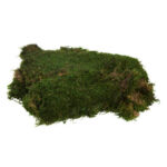 3.5” Moss Topiary - Chic Decora