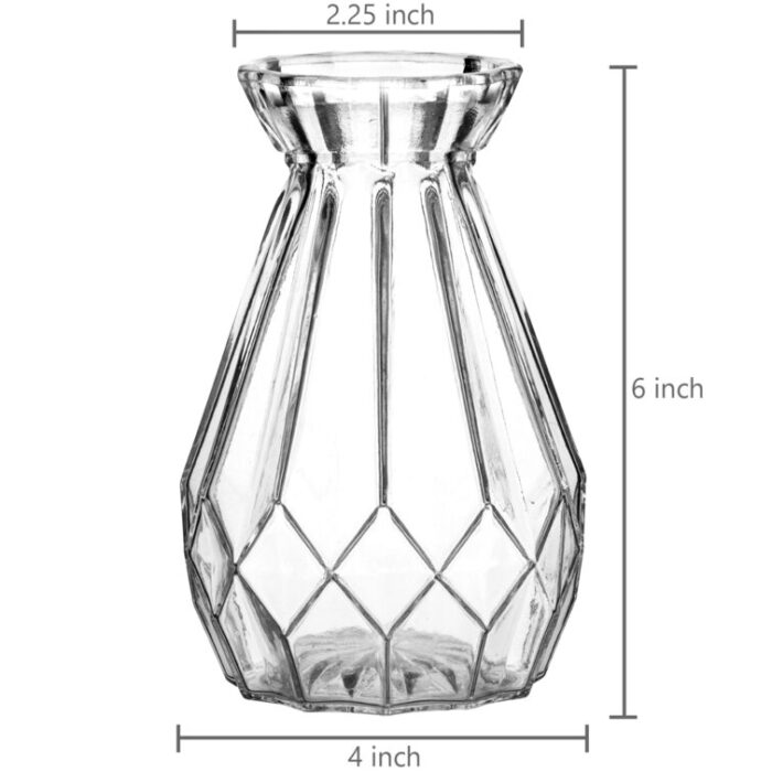 Bajrush Glass Table Vase - Chic Decora