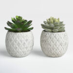 Beeck 4.5” Faux Succulent in Pot - Chic Decora