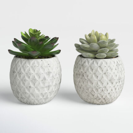 Beeck 4.5” Faux Succulent in Pot - Chic Decora