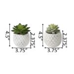 Beeck 4.5” Faux Succulent in Pot - Chic Decora