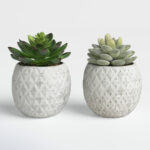 Beeck 4.5” Faux Succulent in Pot - Chic Decora