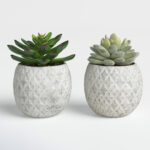 Beeck 4.5” Faux Succulent in Pot - Chic Decora