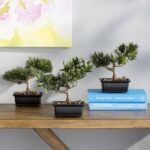 8.5” Faux Bonsai Plant in Planter - Chic Decora