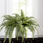 Boston 48” Faux Fern Plant - Chic Decora