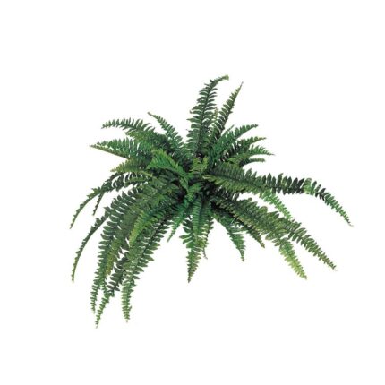 Boston 6” Faux Fern Plant - Chic Decora