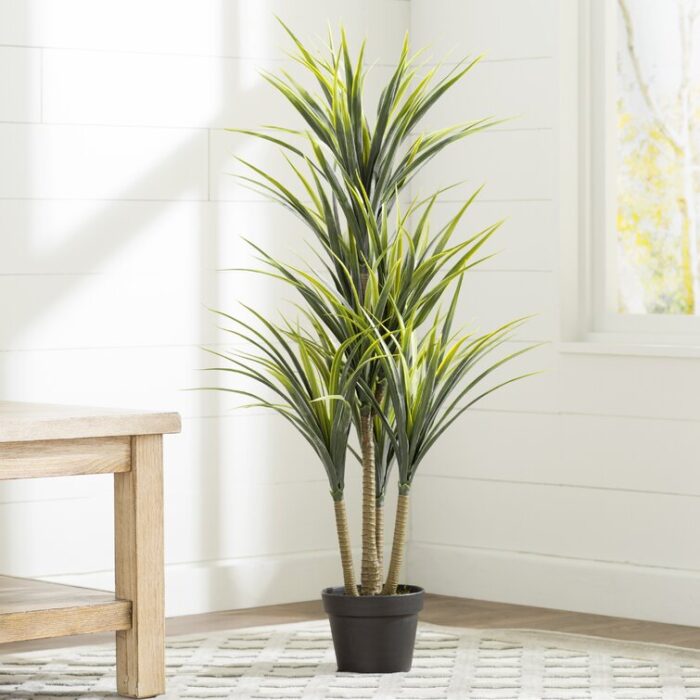 Boulanger 40″ Artificial Green Yucca - Chic Decora