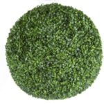 Boxwood Hedge - Chic Decora