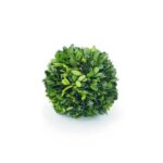 Preserved Boxwood Ball - Chic Decora