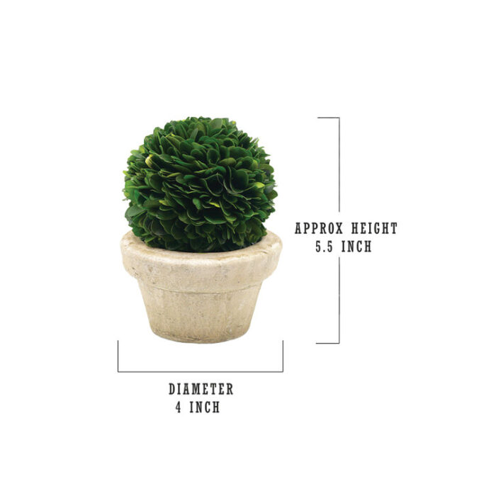 Boxwood Topiary in Ceramic Pot - Chic Decora