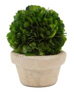 Boxwood Topiary in Ceramic Pot - Chic Decora