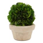 Katrina 9.8” Boxwood Plant in Ceramic Vase - Chic Decora