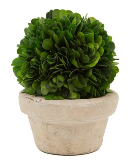 Boxwood Topiary in Ceramic Pot - Chic Decora