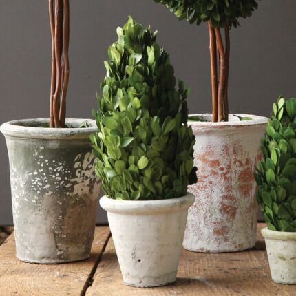 Boxwood Topiary in Stone Pot - Chic Decora