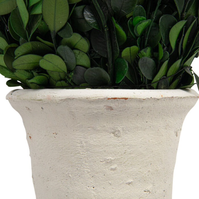 Boxwood Topiary in Stone Pot - Chic Decora