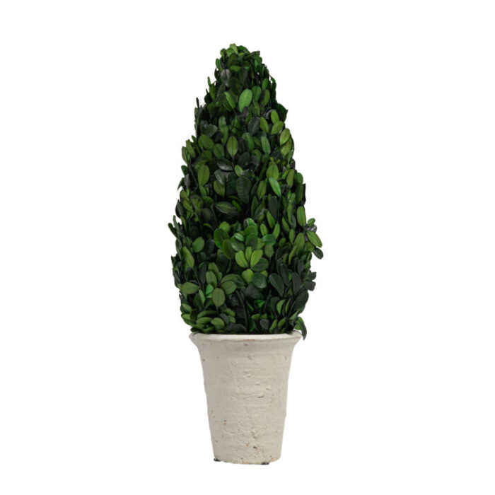 Boxwood Topiary in Stone Pot - Chic Decora