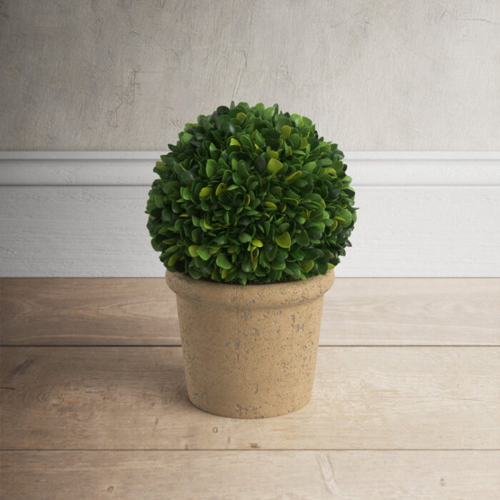 Boxwood Topiary in Terracotta Pot - Chic Decora