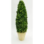 16” Boxwood Topiary in Terracotta Pot - Chic Decora