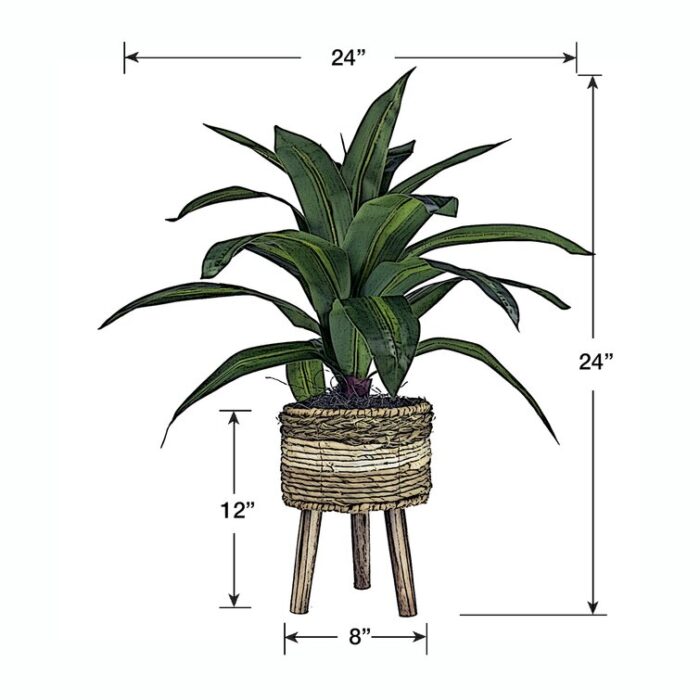 Callender 24” Faux Dracaena Plant in Wicker/Rattan Basket - Chic Decora