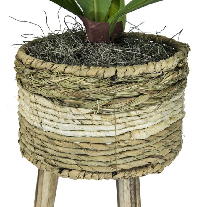 Callender 24” Faux Dracaena Plant in Wicker/Rattan Basket - Chic Decora