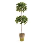 Cuomo 31” Faux Ficus Topiary in Ceramic Pot - Chic Decora