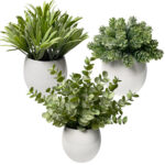 Digby Artificial Plant Eucalyptus in White Pot - Chic Decora