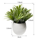 Digby Artificial Plant Eucalyptus in White Pot - Chic Decora