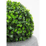 Faux Boxwood Topiary in Freestanding - Chic Decora