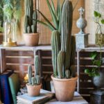 Faux Cactus Plant in Terracotta Pot - Chic Decora