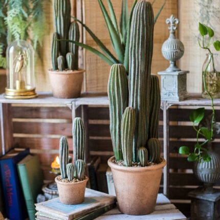 Faux Cactus Plant in Terracotta Pot - Chic Decora