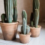 Faux Cactus Plant in Terracotta Pot - Chic Decora