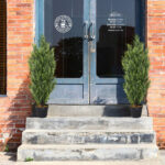 Faux Cedar Plant in Pot - Chic Decora