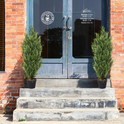 Faux Cedar Plant in Pot - Chic Decora