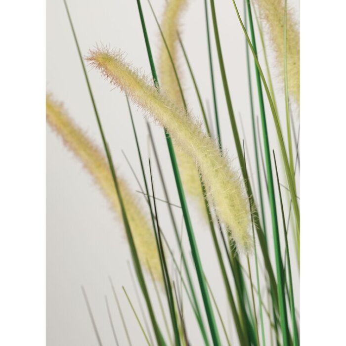 Faux Dogtail Grass in Pot - Chic Decora