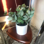 Faux Plants 9” Faux Artificial Plants Plant in Ceramic Pot - Chic Decora